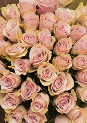 Obraz na płótnie Canvas Beautiful texture of pink roses bouquet 
