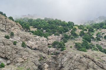 Beautiful view of the top of the mountain covered with morning fog 