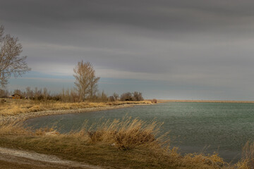 Blowing grasses on a spring day. Lake McGregor Provincial Recreation Area, Vulcan County, Alberta