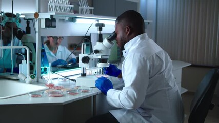 Black scientist examining lab meat under microscope
