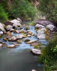 landscape photo for a long exposure mountain river in the forest in Bougaa sétif algeria