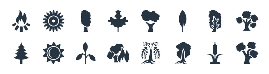 nature filled icons. glyph vector icons such as gray birch tree, pignut hickory tree, forest fire, spruce tree, birch american larch paper birch flower sign isolated on white background.