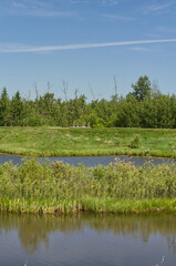 Pylypow Wetlands on a Clear, Late Spring Day
