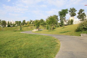 The parks, meadows and thick woods under the clear sky in spring