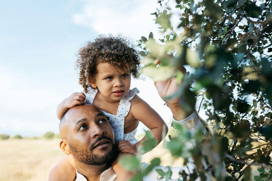 Black father and little girl exploring nature in summer