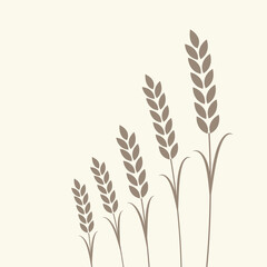 Wheat pattern wallpaper. oat symbol. free space for text. rice sign. Rice pattern wallpaper.