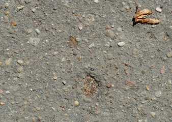 Asphalt sidewalk texture. Pothole in the road. Leaf. 
