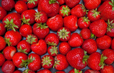 Strawberry background full frame. Ripe homemade strawberries. 