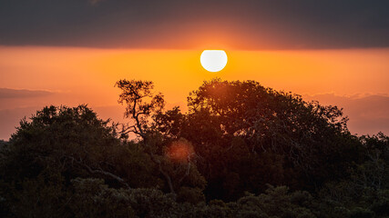 Obraz premium SUNSET