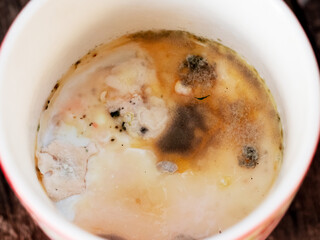 Moldy milk in a cup. Spoiled product, dangerous to health