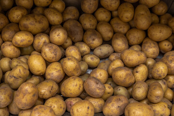 Close up view of potato  on shelf of supermarket. Sweden.