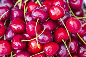 Close up macro view of red ripe cherry isolated. 