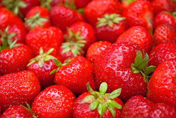 Strawberry background, selective focus .Appetizing summer background 
