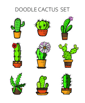 Hand drawn doodle vector colorful cactus set isolated on white background. Cute house plants.