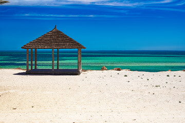 A beautiful view of the Mediterranean coast with birch water, a beach with white sand and a green palm tree.