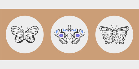 A set of three aesthetic circular posters. Different butterflies drawn with charcoal. Patterns on the wings. Cute insects for stories, social media profile avatars. Thin black outlines, bright spots.