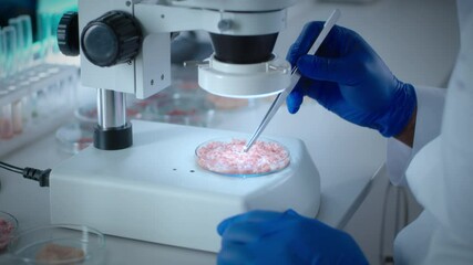 Unrecognizable scientist examining cell grown meat sample