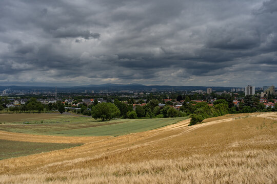 Felder bei Mainz-Marienborn mit Blick zum Feldberg