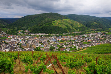 Obraz premium Rotweinstraße im Ahrtahl