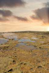 Beautiful Sunset at a reef with a bird in the water, Barra de São Miguel, Alagoas, Brazil.