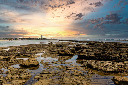 Beautiful Sunset at a reef with a bird in the water, Barra de S&atilde;o Miguel, Alagoas, Brazil.