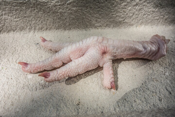 Raw chicken legs natural food for pets