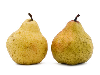 Two yellow pears with water drops isolated on white