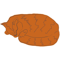 Hand drown red cat sleeping