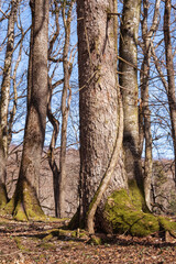 au coeur de la réserve naturel