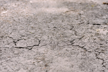 Cracked dry ground surface selective focus