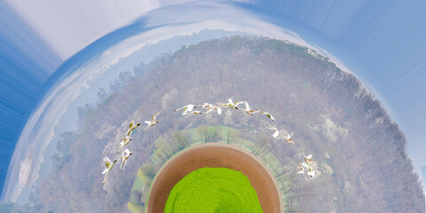 Fototapety na wymiar - Fototapeta24.pl