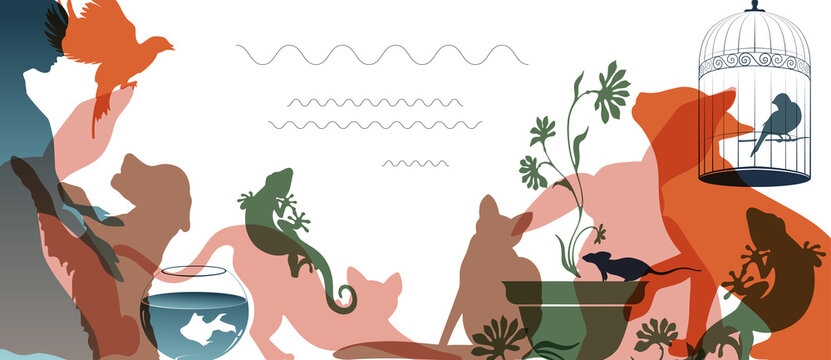 Pet or vet store poster, banner design template. Vector illustration of cats, dogs, aquarium fish and canary silhouettes on white. Animal food, accessories and toys. Discount or sale coupon concept.