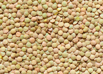 Traditional Asian agricultural crop, green lentil background, flat layout, close up