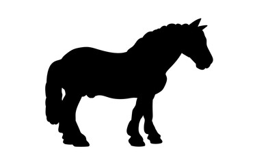 Horse black silhouette isolated on white background. Vector illustration.