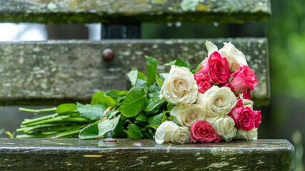 Bouquet of roses, white and pink, abandoned on a wooden bench, in the middle of a park, on a rainy day, close up