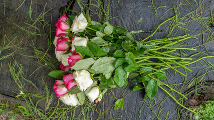 Bouquet of roses, white and pink, placed on a large tree stump near the lake, on a rainy day