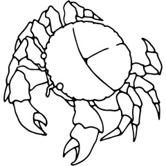 hand drawn crab illustration in doodle style