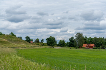 Obraz premium idyllic Swedish countryside landscape with expansive wheat fields and red farmstead hosues