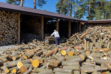 A man at a sawmill cuts firewood while harvesting it for the winter.