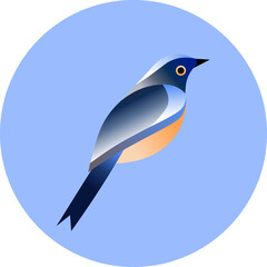 illustration of a bird