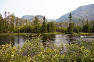 Man fly-fishing at Madison River in Yellowstone National Park
