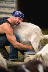 Adult farmer milking goat on wooden log 