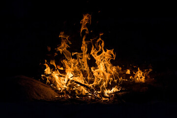 A bright bonfire on a solid black background. Flames of fire look like different shapes and objects