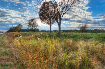 prairie grass on edge of Hwy 55 Illinois, Autumn Sun streaming through the clouds is highlighting the grass, trees are in contrast to blue, cloudy sky, busy hwy on left, 