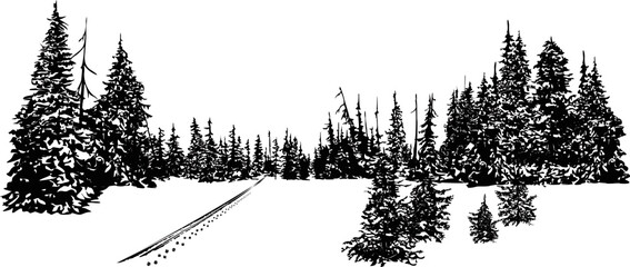 Winter hunting with a dog