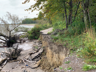 Close view of erosion of soil and trees because of high water.