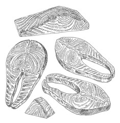 Salmon slices on white background. Vintage engraving monochrome black illustration.