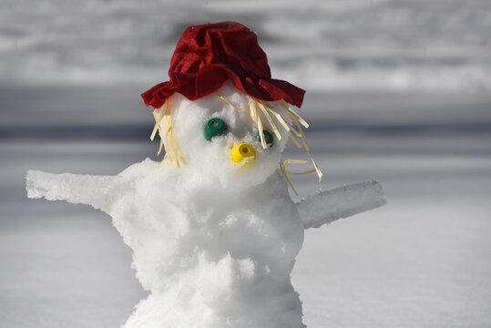 Plain Jane Snowman With Felt Hat