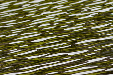 Background Pattern of Surface of Rippled Pond