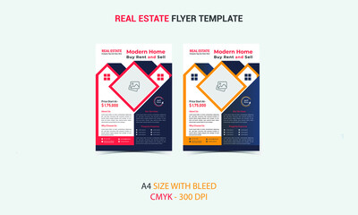 Real Estate Professional Modern Flyer Template